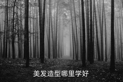 陽江哪里有美發學,美發造型哪里學好