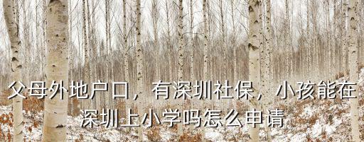 外地的孩子在深圳怎么上小學,父母外地戶口