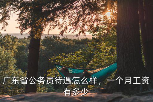 廣東省公務(wù)員待遇怎么樣，一個(gè)月工資有多少