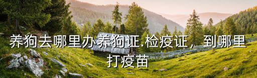 養狗去哪里辦養狗證.檢疫證，到哪里打疫苗