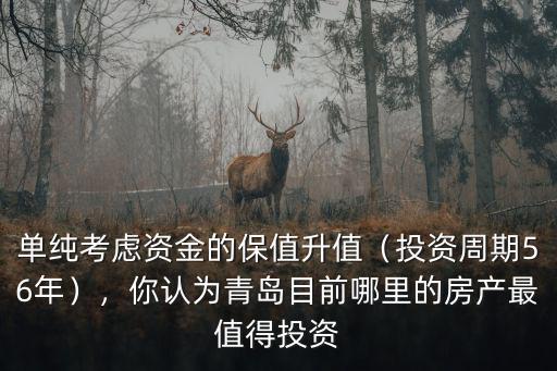 單純考慮資金的保值升值（投資周期56年），你認為青島目前哪里的房產最值得投資