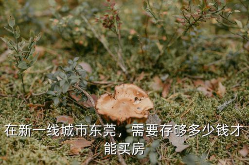 在新一線城市東莞，需要存夠多少錢才能買房
