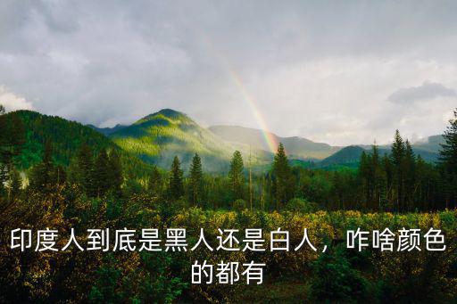 深圳有多少印度人和黑人,印度人到底是黑人還是白人