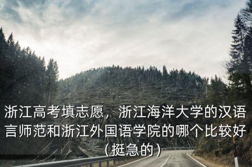 浙江外國語學院多少分能上,浙江高考填志愿