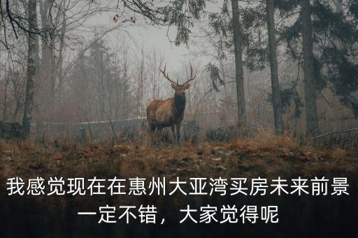 惠州大亞灣怎么限行,大亞灣限行外地車牌嗎