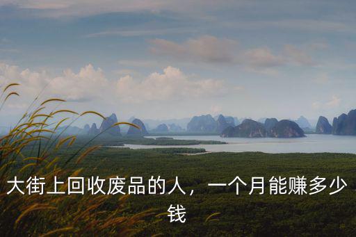大街上回收廢品的人，一個月能賺多少錢