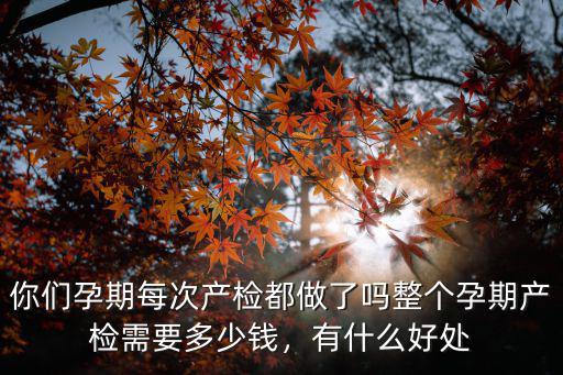 在濟寧做孕檢需要多少錢,整個孕期產檢需要多少錢