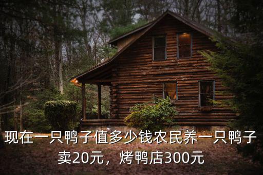 江門(mén)老鴨多少錢一只,農(nóng)民養(yǎng)一只鴨子賣20元