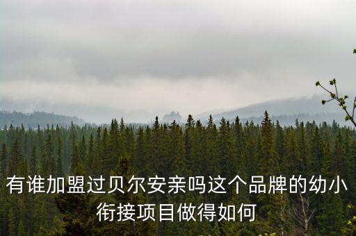 貝爾安親在廣州多少加盟店,有誰加盟過貝爾安親嗎