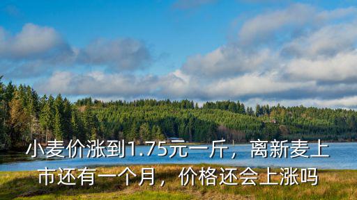 小麥價(jià)漲到1.75元一斤，離新麥上市還有一個(gè)月，價(jià)格還會(huì)上漲嗎