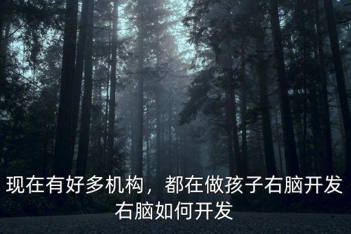 現(xiàn)在有好多機(jī)構(gòu)，都在做孩子右腦開發(fā)右腦如何開發(fā)