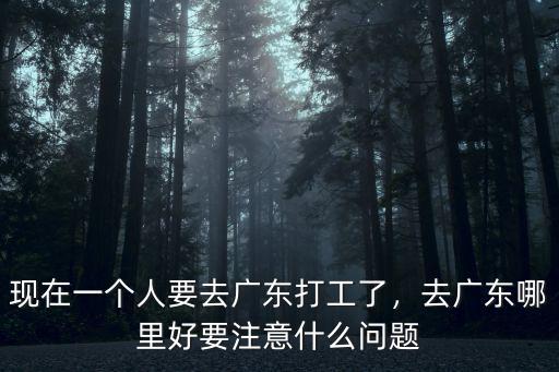 一個(gè)人怎么去廣東打工,現(xiàn)在一個(gè)人要去廣東打工了