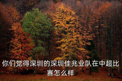 你們覺得深圳的深圳佳兆業(yè)隊(duì)在中超比賽怎么樣