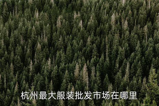 杭州最大服裝批發市場在哪里