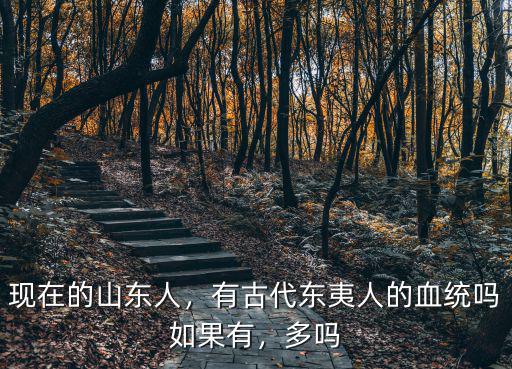 現在的山東人，有古代東夷人的血統嗎如果有，多嗎