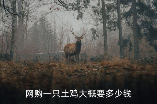 網購一只土雞大概要多少錢
