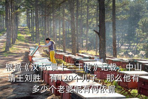 中山靖王有多少妃子,那么他有多少個老婆呢
