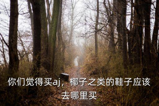 肇慶哪里有aj買(mǎi),買(mǎi)aj一般哪里買(mǎi)比較真