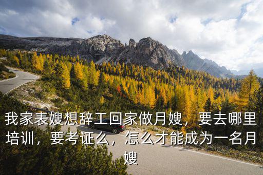 佛山的月嫂證去哪里考證,要去哪里培訓(xùn)