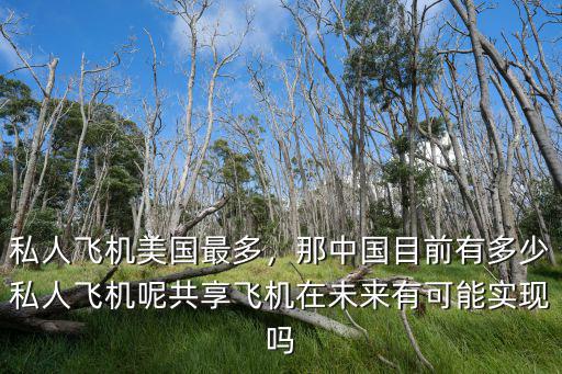 浙江多少人擁有私人飛機,私人飛機美國最多