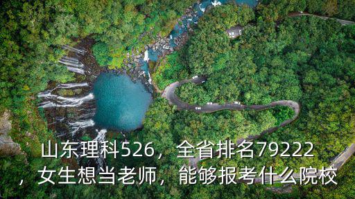 省內排名多少可以報考山東理工大學,山東理科526