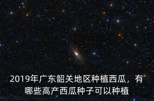 廣東訕尾種植西瓜怎么樣,在農村種植西瓜的前景怎么樣
