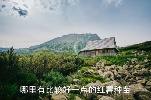 哪里有比較好一點的紅薯種苗