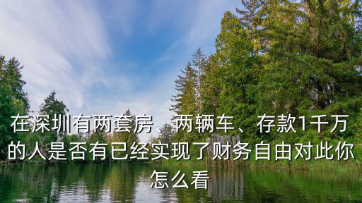 在深圳有兩套房、兩輛車、存款1千萬的人是否有已經(jīng)實(shí)現(xiàn)了財(cái)務(wù)自由對(duì)此你怎么看