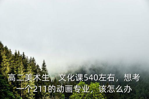 高二美術生，文化課540左右，想考一個211的動畫專業，該怎么辦