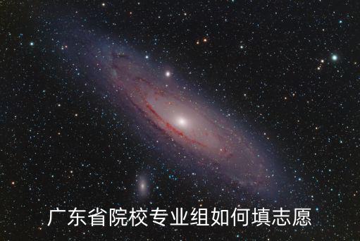 廣東前五十怎么填志愿,廣東省院校專業(yè)組如何填志愿