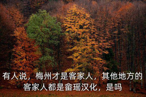 有人說，梅州才是客家人，其他地方的客家人都是畬瑤漢化，是嗎