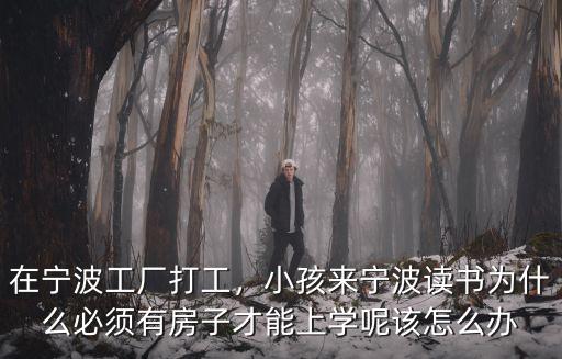 寧波學區(qū)房多少平可以讀書,寧波市鎮(zhèn)海區(qū)有哪些學區(qū)房