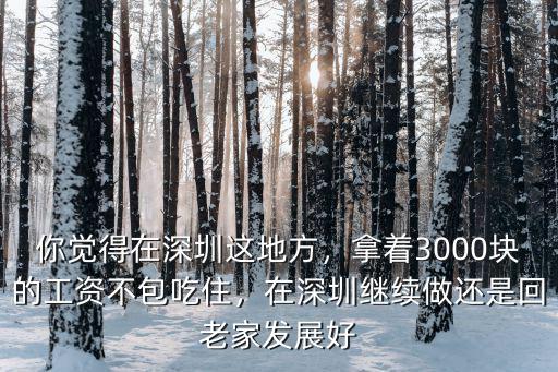 在深圳3000塊的工資怎么樣,一個月4000塊的工資