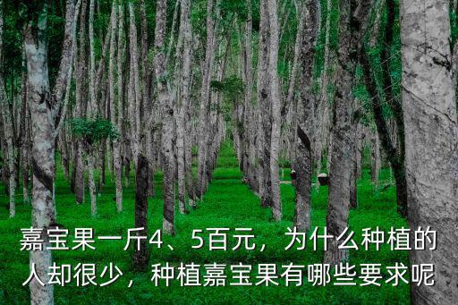 嘉寶果一斤4、5百元，為什么種植的人卻很少，種植嘉寶果有哪些要求呢