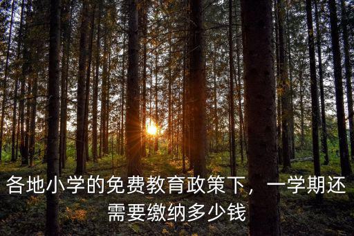 泰安小學學費一般多少錢,各地小學的免費教育政策下