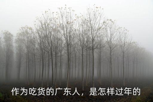 潮汕人去廣東怎么過(guò)年,為什么廣東潮汕過(guò)年人氣很旺