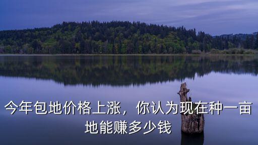菏澤包地都多少錢一畝,一年究竟能賺多少錢