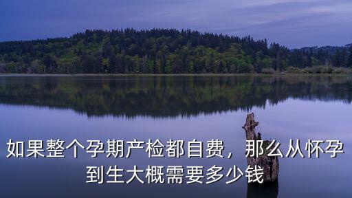 杭州孕檢自費多少錢,全自費一個孕期