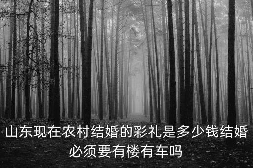 山東現(xiàn)在農(nóng)村結(jié)婚的彩禮是多少錢結(jié)婚必須要有樓有車嗎