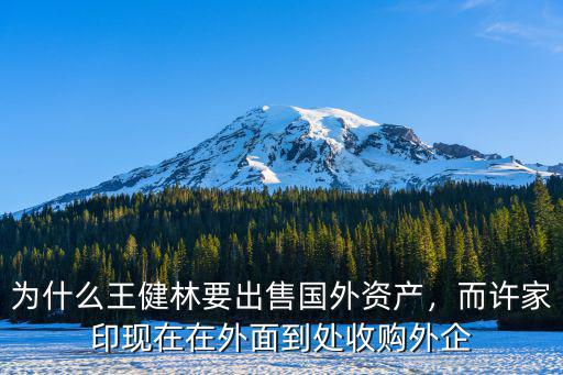 為什么王健林要出售國(guó)外資產(chǎn)，而許家印現(xiàn)在在外面到處收購(gòu)?fù)馄? class=