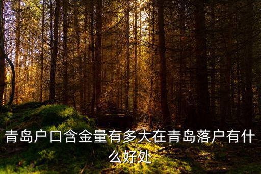 青島戶口含金量有多大在青島落戶有什么好處