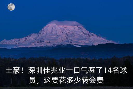 土豪！深圳佳兆業(yè)一口氣簽了14名球員，這要花多少轉(zhuǎn)會費