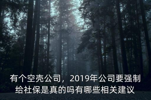 有個空殼公司，2019年公司要強制給社保是真的嗎有哪些相關建議