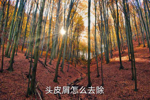 百度頭皮屑怎么去除 佛山,怎樣去除頭屑