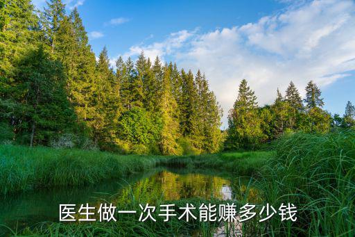 醫生做一次手術能賺多少錢