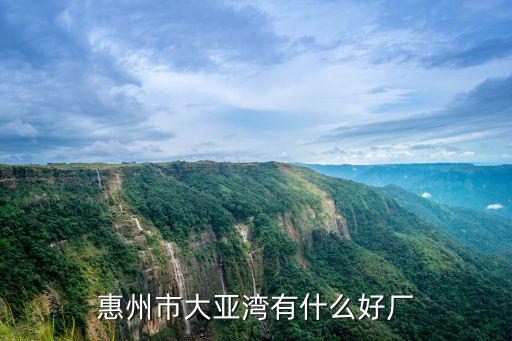 惠州大亞灣哪里有賣東北熏雞,惠州市大亞灣有什么好廠