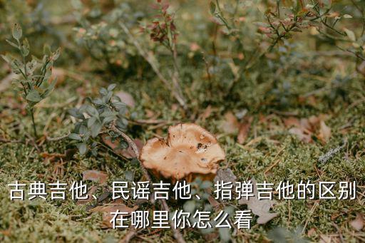 古典吉他、民謠吉他、指彈吉他的區別在哪里你怎么看