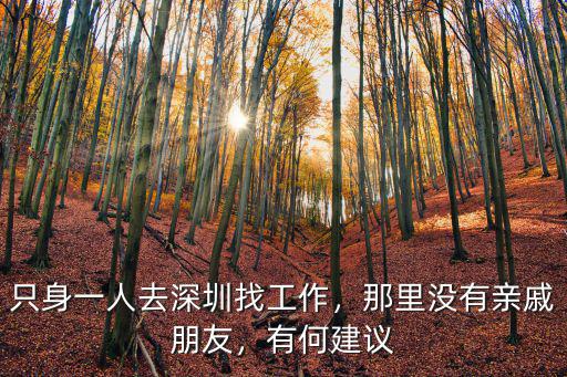 在深圳蛋殼公寓工作怎么樣,只身一人去深圳找工作