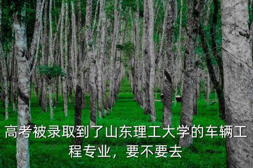 高考被錄取到了山東理工大學的車輛工程專業，要不要去