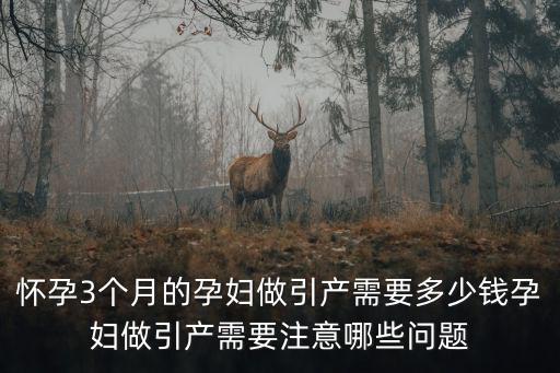 汕尾海豐做引產(chǎn)需要多少錢,孕婦做引產(chǎn)需要注意哪些問題